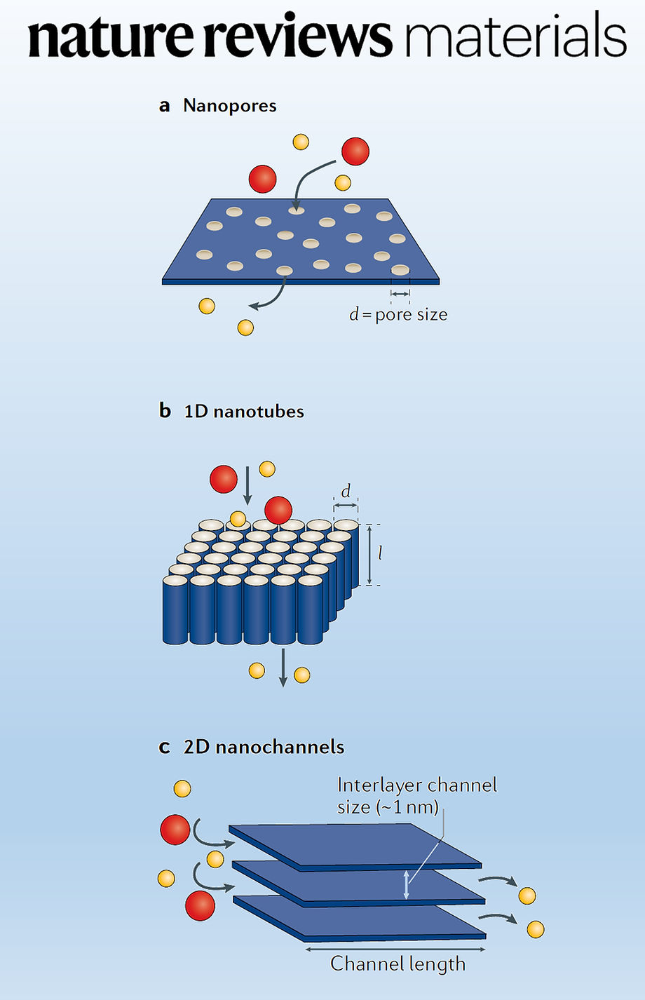 Nature Reviews Materials feature image for artificial channels