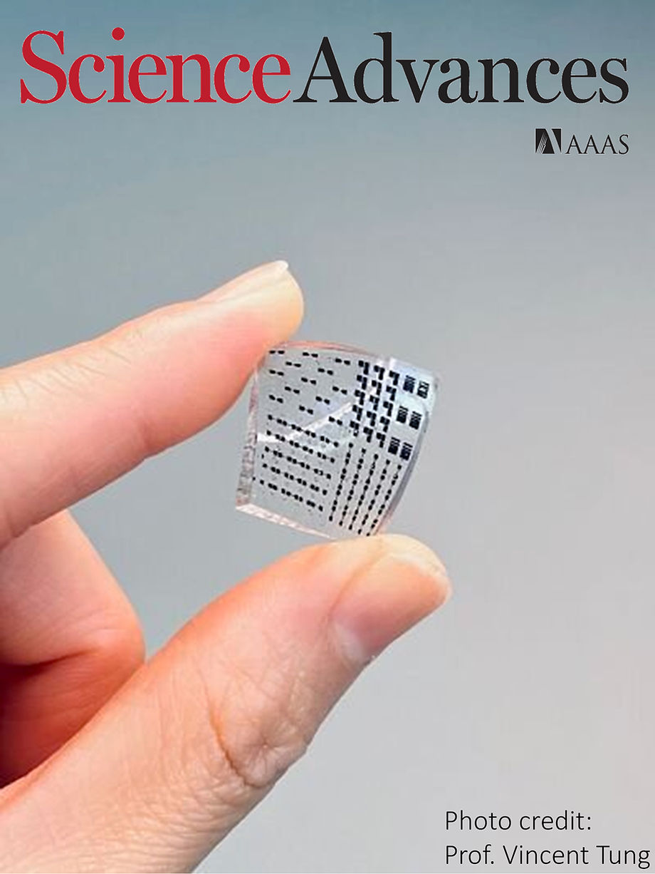 Science Advances feature image for stretchable electronic skin