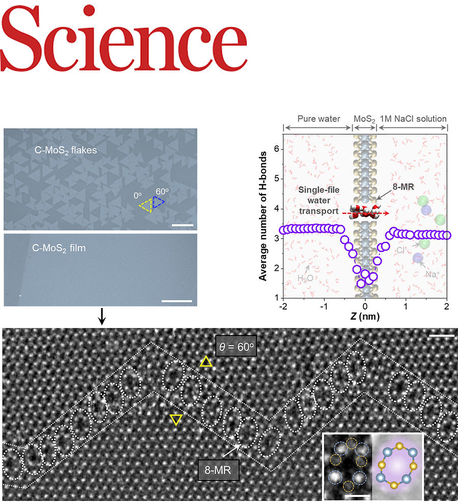 Science feature image for MoS2 water-ion separation